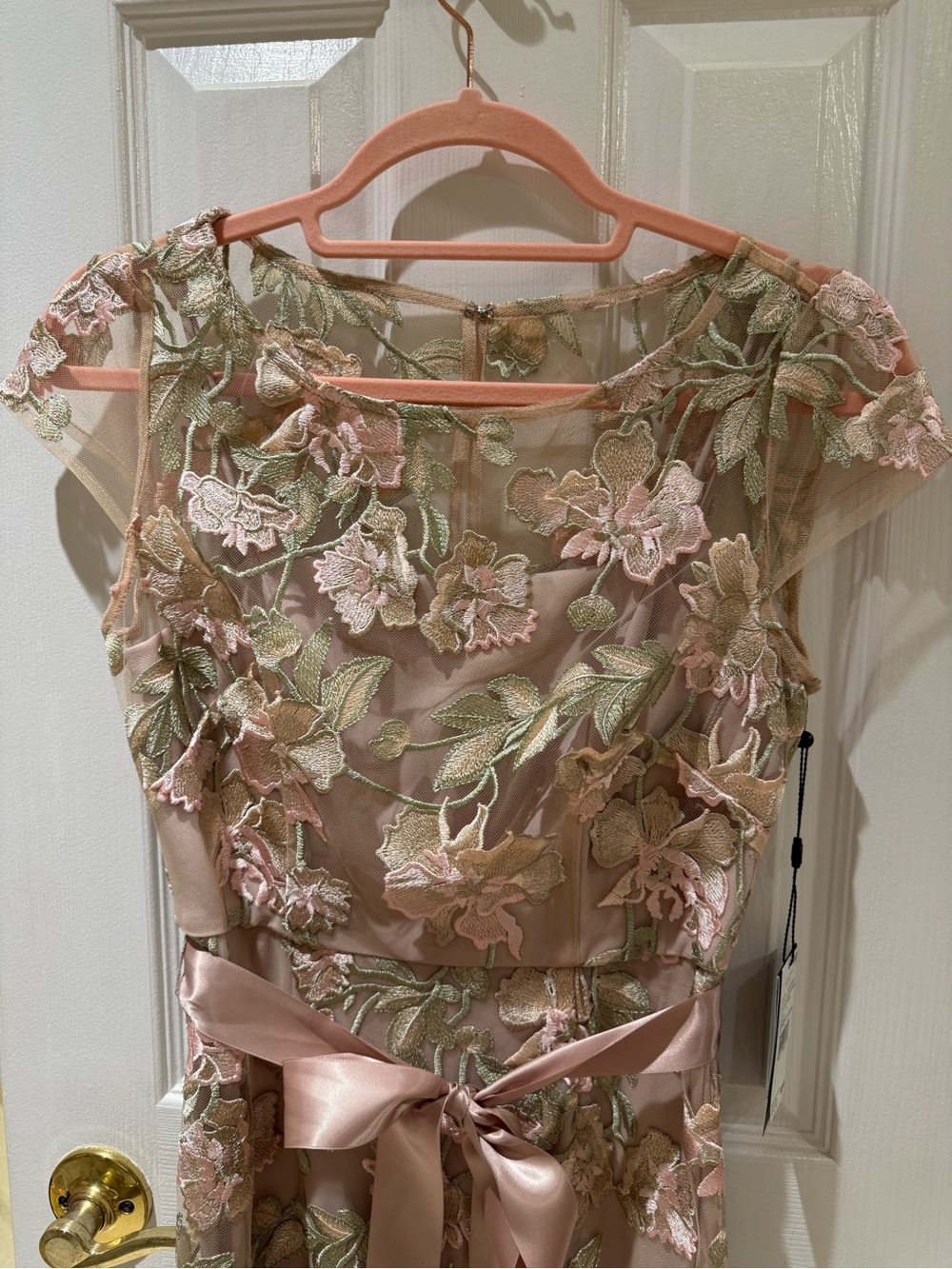 Adrianna Papell Blush Mesh Maxi Dress with Sage Floral Embroidery